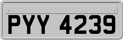 PYY4239