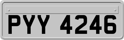 PYY4246