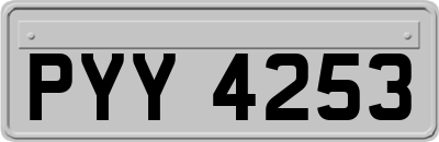 PYY4253