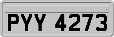 PYY4273