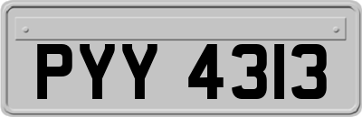 PYY4313