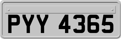 PYY4365