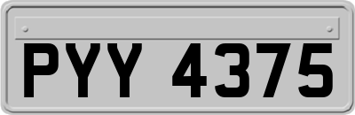 PYY4375