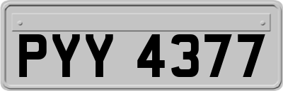 PYY4377