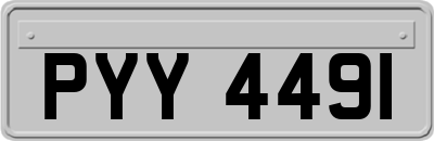 PYY4491