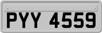 PYY4559