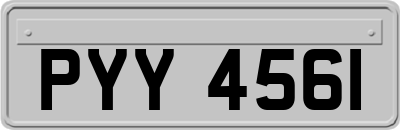PYY4561