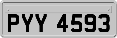 PYY4593