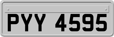 PYY4595