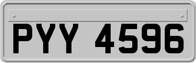 PYY4596