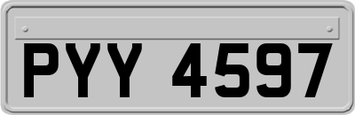 PYY4597