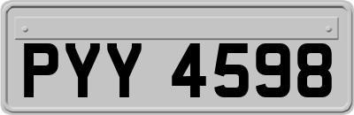 PYY4598