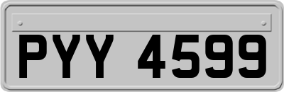 PYY4599