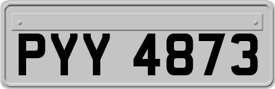PYY4873