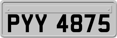 PYY4875