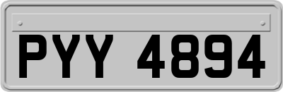 PYY4894