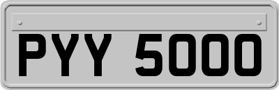 PYY5000