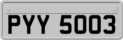 PYY5003