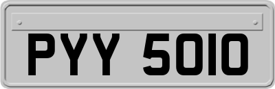 PYY5010