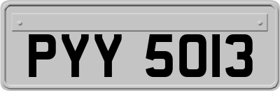 PYY5013