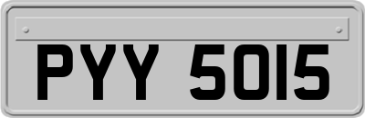 PYY5015