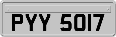 PYY5017