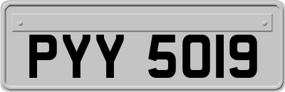 PYY5019