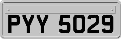 PYY5029