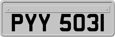 PYY5031
