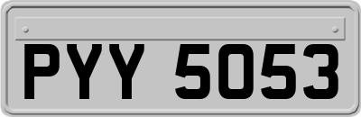PYY5053