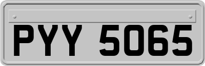 PYY5065