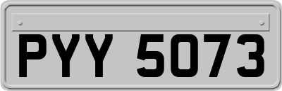 PYY5073