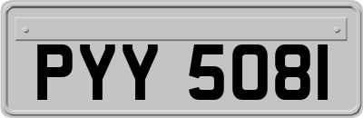 PYY5081