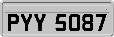 PYY5087