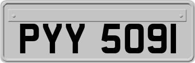 PYY5091