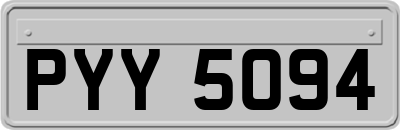 PYY5094