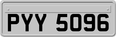 PYY5096