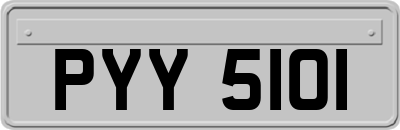 PYY5101