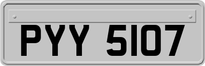 PYY5107