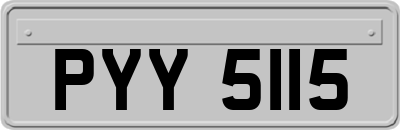 PYY5115