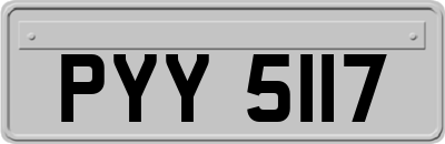 PYY5117