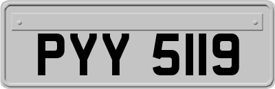 PYY5119