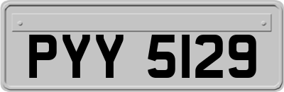 PYY5129