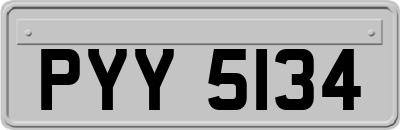 PYY5134
