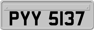 PYY5137