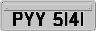 PYY5141