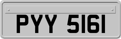 PYY5161