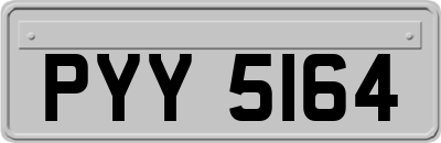 PYY5164