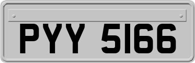 PYY5166