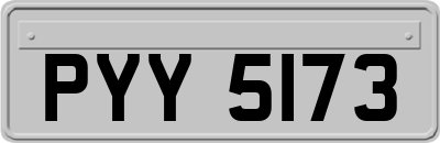 PYY5173